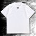 画像5: DISACOF T-SHIRT "SILVIA"